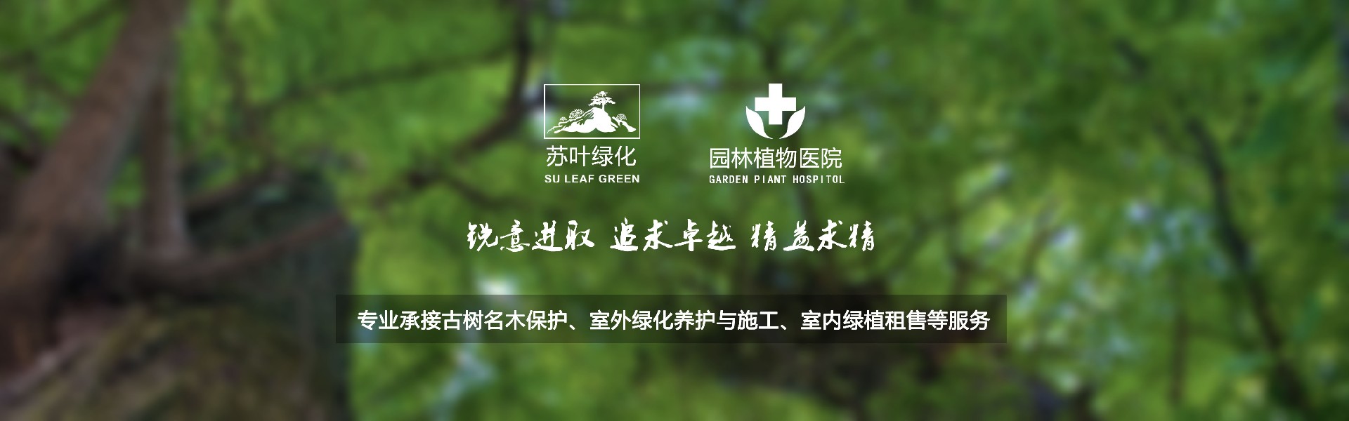 蘇州市蘇葉綠化養護有限公司